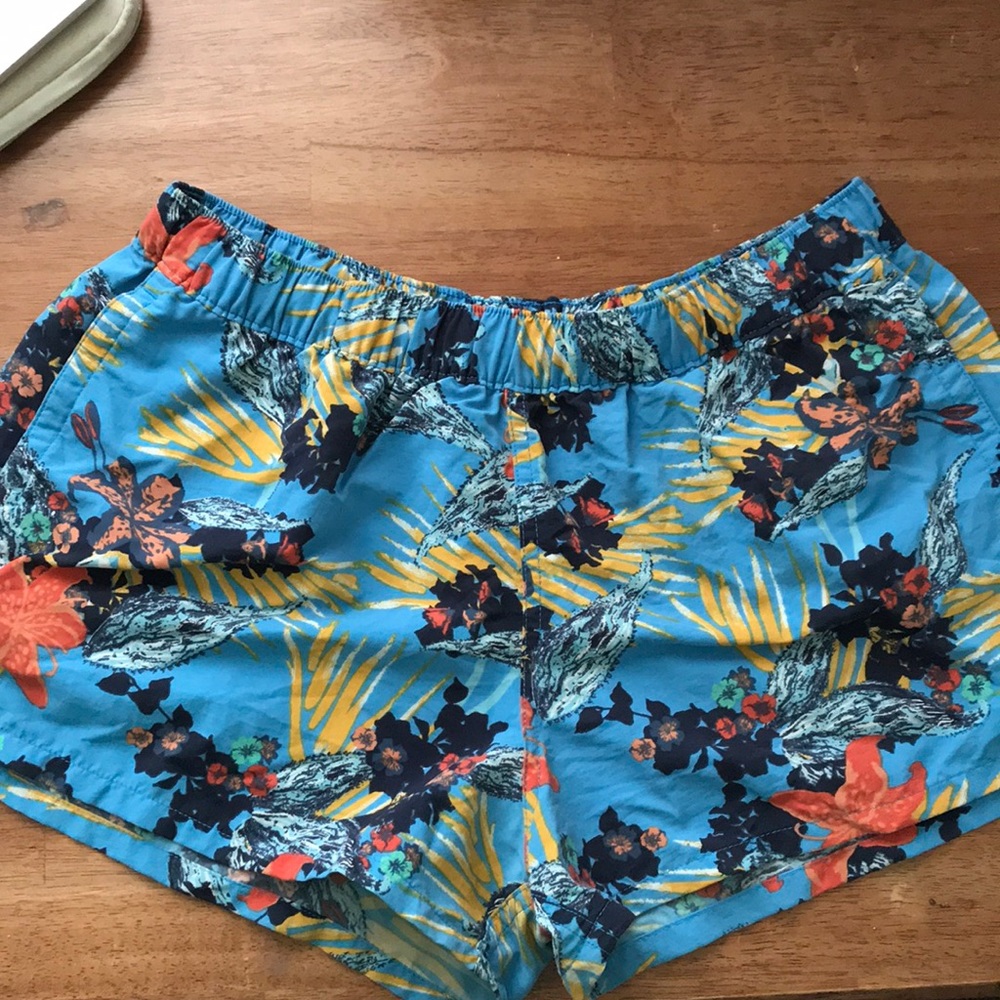 Patagonia Baggie Shorts